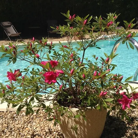 Frühstückspension Aux Anges Gardiens 4*